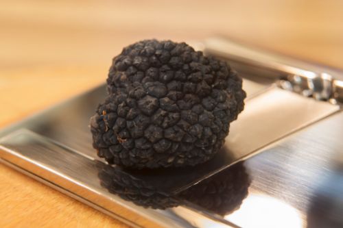 NETTOYER LES TRUFFES
